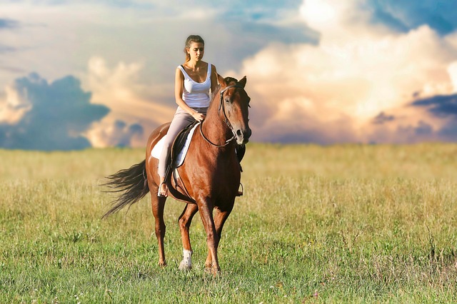 girl on horse